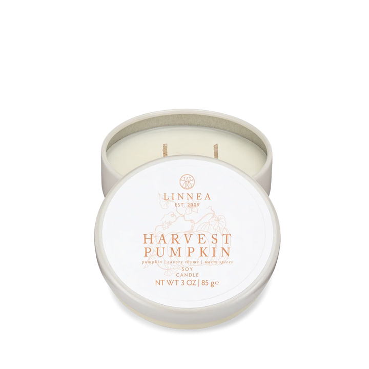 Harvest Pumpkin Petite 2-Wick Candle