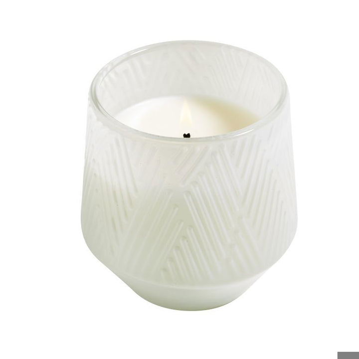 Birchwood & Spruce Candle 5oz Ctn.6
