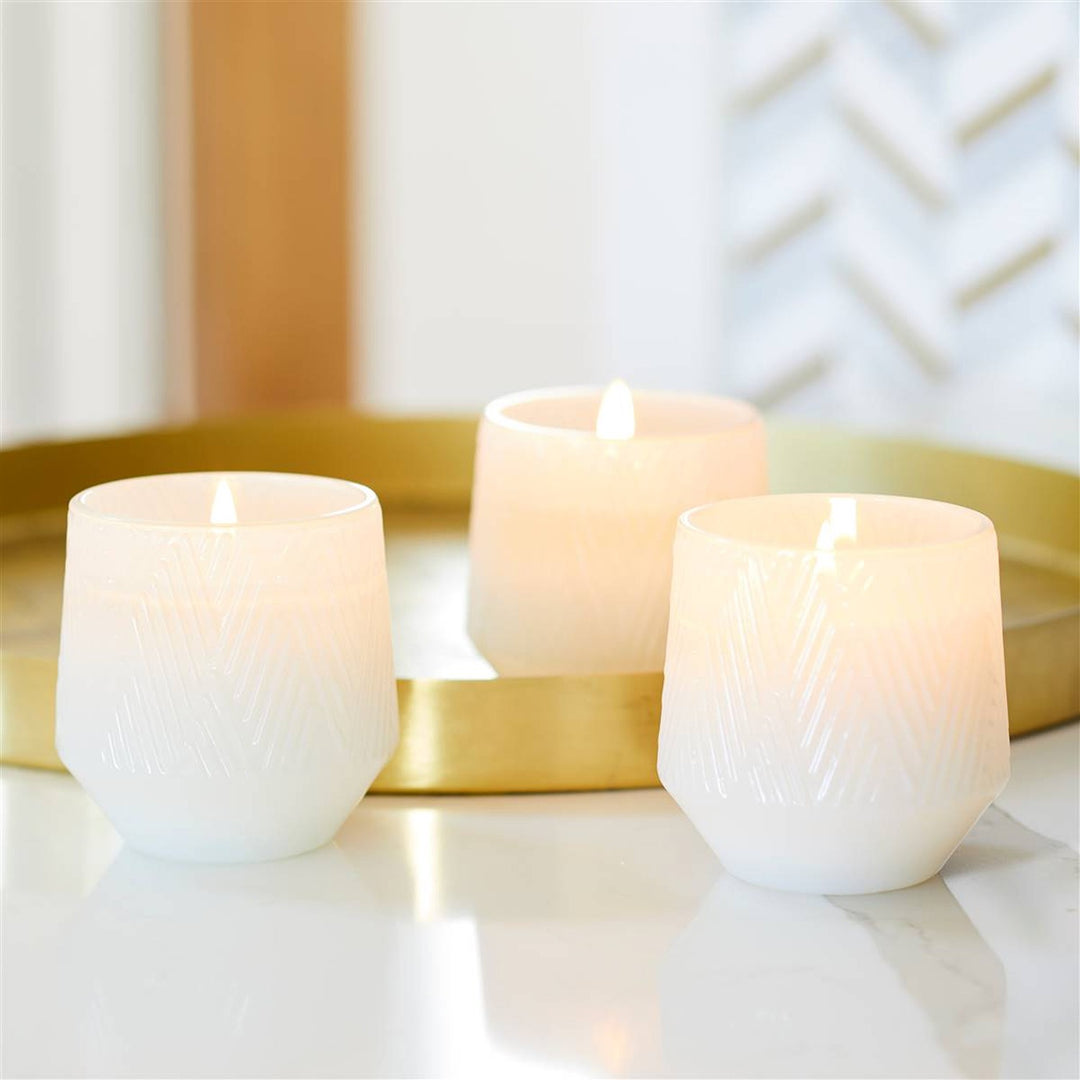 Birchwood & Spruce Candle 5oz Ctn.6