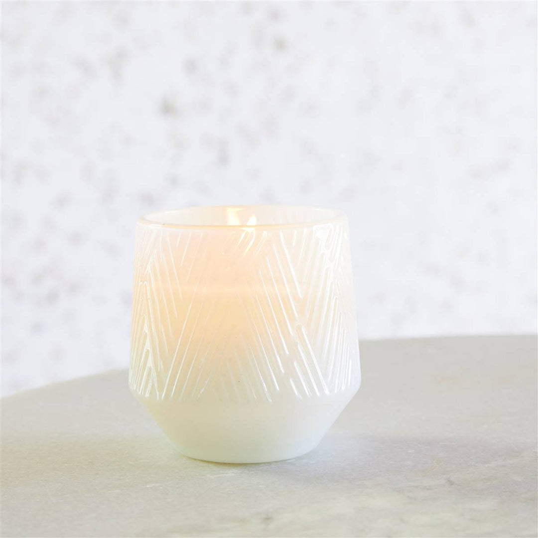 Cedar & Pine Candle 5oz Ctn.6