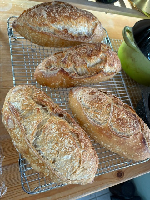 Autumn Sourdough: Artisan Loaf & Bread Bowls