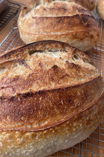 Autumn Sourdough: Artisan Loaf & Bread Bowls