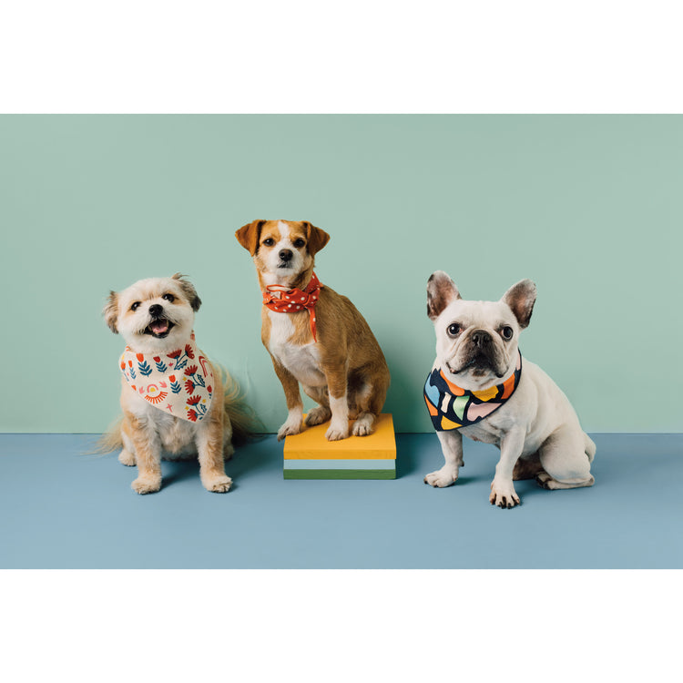 Be Here Now Dog Bandana