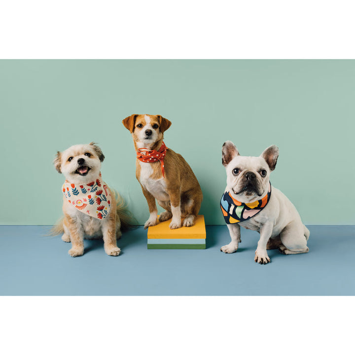 Be Here Now Dog Bandana