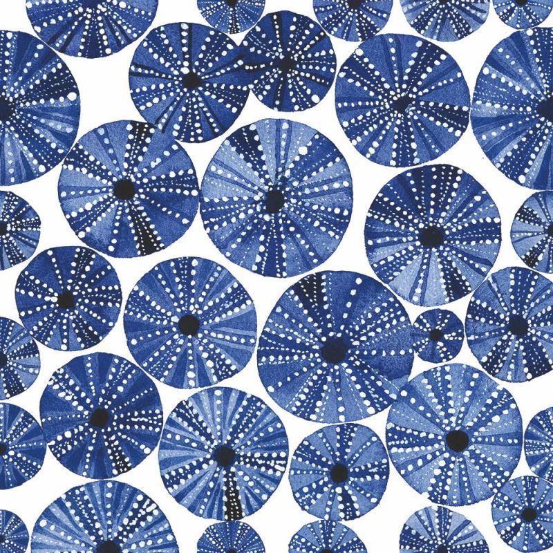 BEV-OCEAN URCHINS