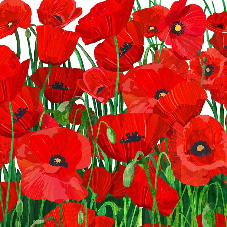 BEV- RED POPPIES