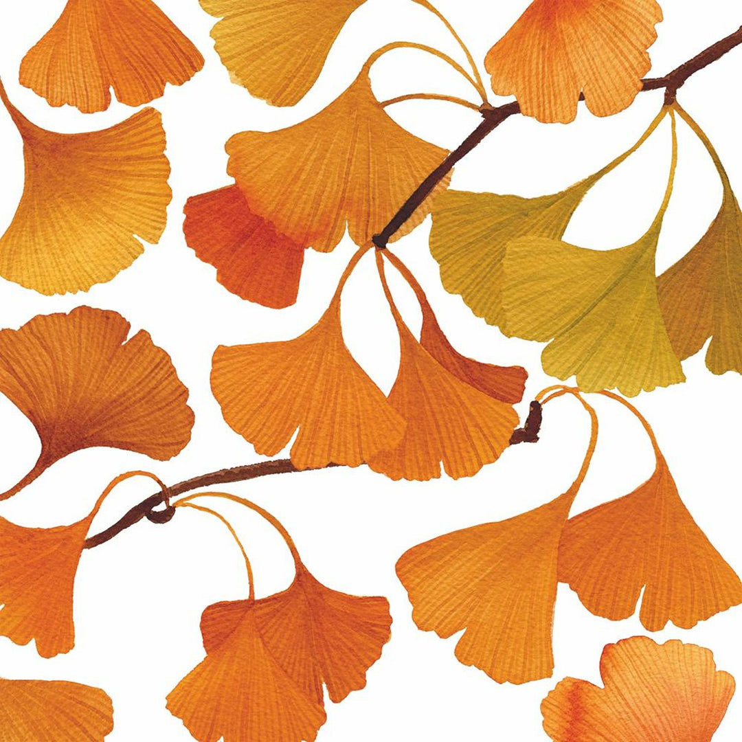 BEV- GINGKO