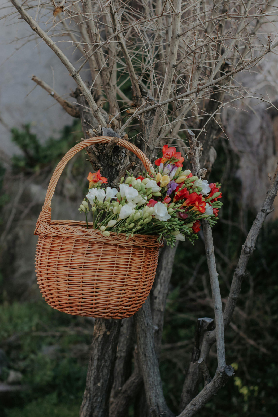 Foraged Flora Flower Arrangement