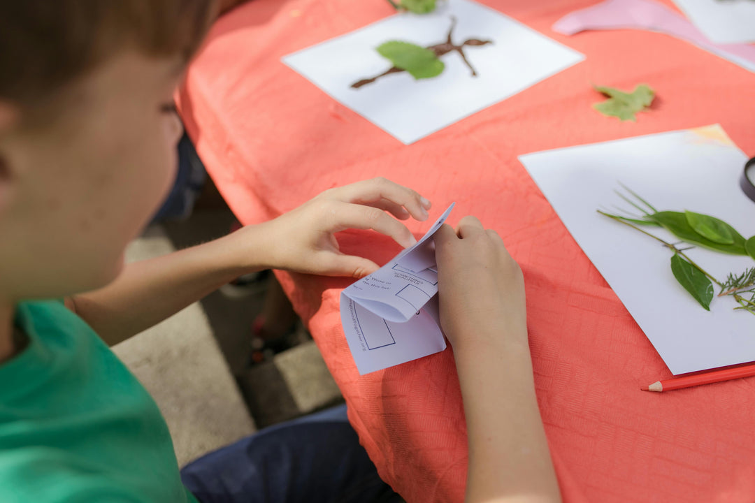 Color from Nature Camp/Game on State Level Up! Summer Camp - July 14-18 Full Day