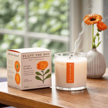 Catalan Calendula Plant The Box Candle, 9 Oz