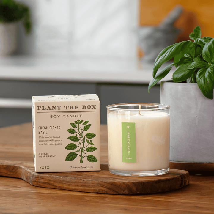 Fresh Picked Basil Plant the Box Candle, 9 Oz