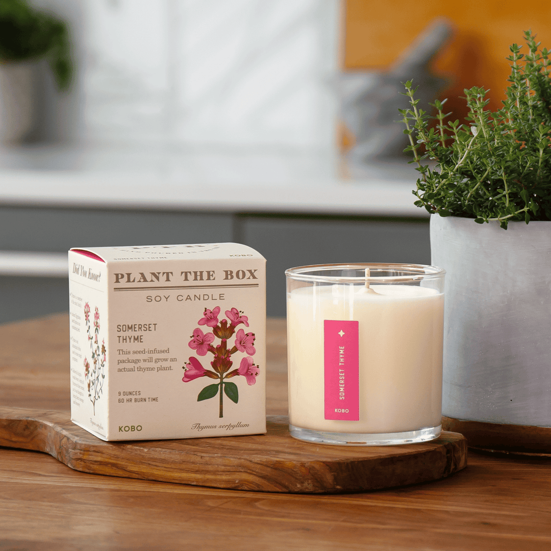 Somerset Thyme Plant The Box Candle, 9 Oz