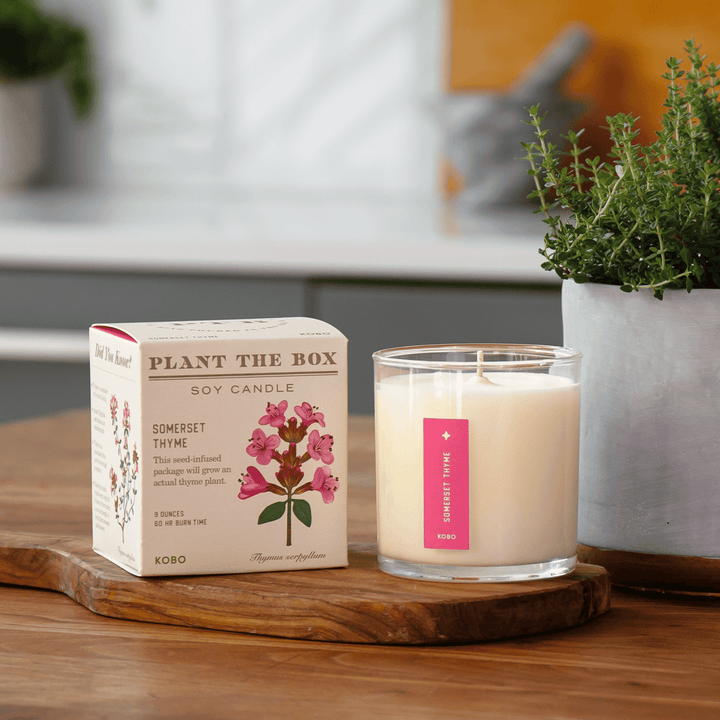 Somerset Thyme Plant The Box Candle, 9 Oz
