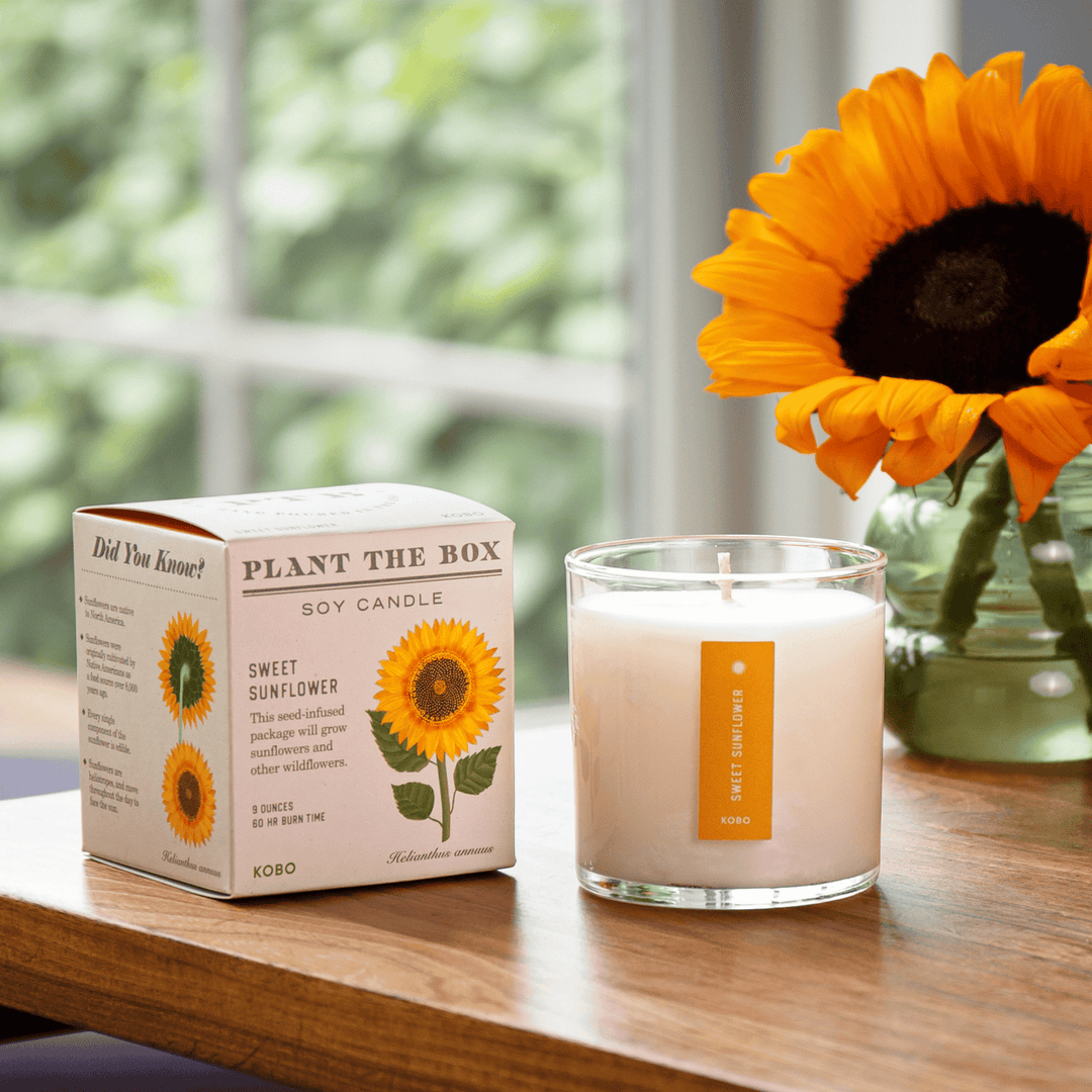 Sweet Sunflower Plant The Box Candle, 9 Oz