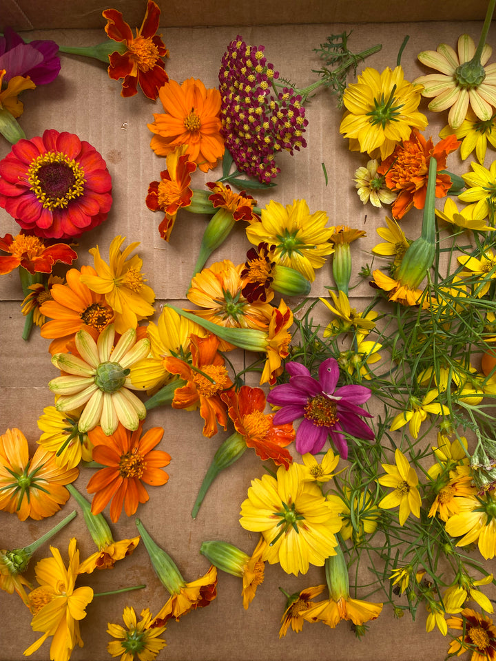 Eco-Printing With Summer Flowers